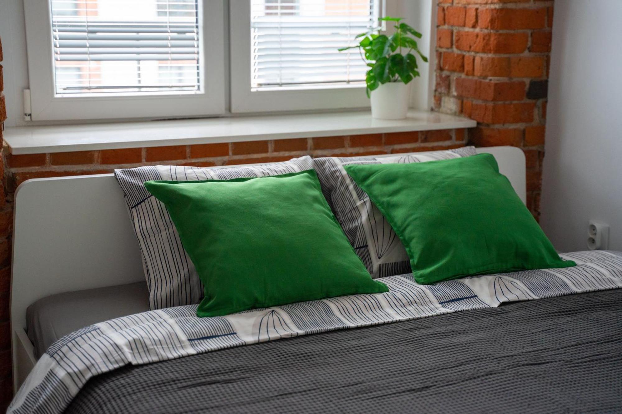 Z Antresola Nowa Papiernia Apartment
